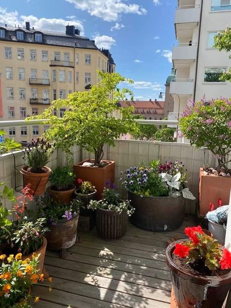 Lantern Balcony, Balcony Hanging Plants, Big Balcony Ideas, Big Potted Plants, Balcony Garden Ideas, Big Balcony, Indoor Water Garden, Balcony Planters, Small Balcony Garden