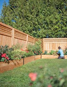 Cedar Raised Garden Beds, Cedar Garden, Raised Flower Beds, Garden Vines, Backyard Fences, Small Backyard Design, Small Backyard Landscaping, Raised Beds, Raised Garden Beds