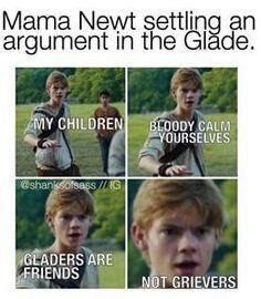 Newt X Reader, Mama Newt, The Glade, Maze Runner Thomas, Maze Runner The Scorch, Maze Runner Trilogy, Maze Runner Funny, Maze Runner Imagines, Maze Runner Cast