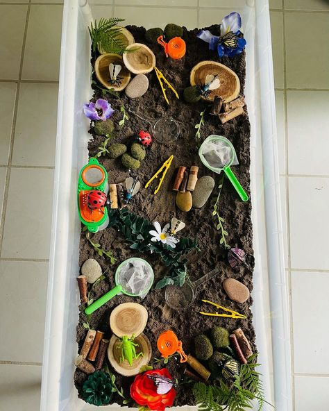 Insect Small World Play, Bug Provocations Preschool, Bug Activities Preschool, Provocations Preschool, Bug Sensory Bin, Minibeasts Eyfs, Nature Based Classroom, Bug Activities, Family Day Care