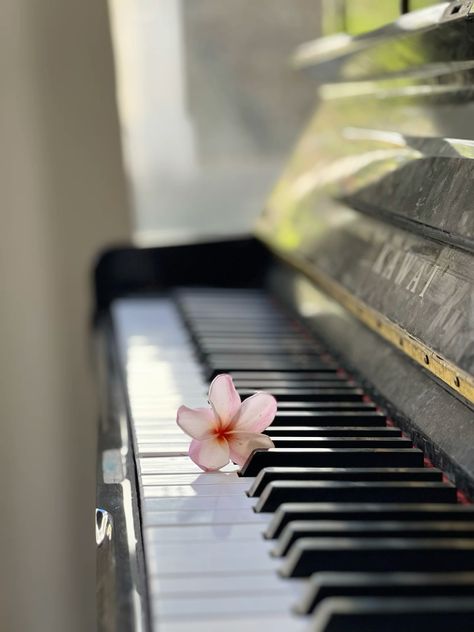 Piano Aesthetic Icon, Instruments Aesthetic, Aesthetic Piano, Piano Pictures, Piano Photo, Piano Photography, Piano Teacher, Couple Session, Fun Shots