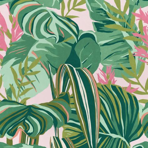 Foliage Wallpaper, Mind The Gap, Tropical Foliage, Green And Pink, The Gap, Pink Wallpaper, Palm Springs, Springs, Gap