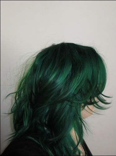 Directions Alpine Green                                                                                                                                                                                 More Green Ghost Roots, Aesthetic Hair Colour Dyes, Green Hair Aesthetic, Hair Color Green, Emerald Green Hair, Dark Green Hair, Green Hair Dye, Green Hair Color, Hair Colour Inspo