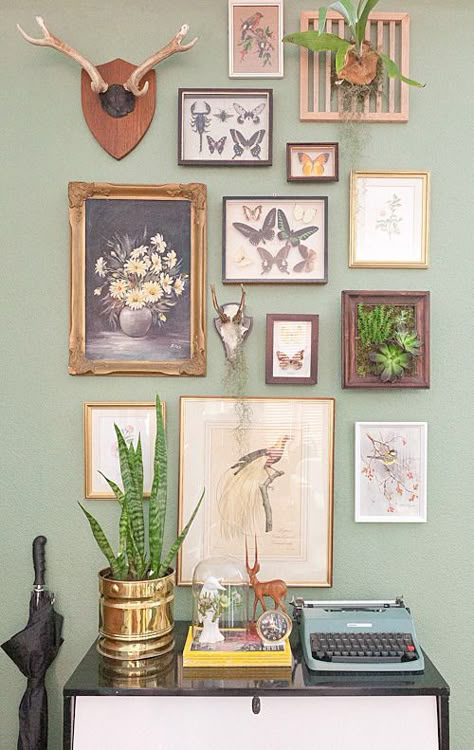 Eye Candy: Cool Gallery Walls in Homes » Curbly | DIY Design Community---mike's office Picture Wall Ideas Bedroom Minimalist, Gallery Wall Funky Frames, Object Gallery Wall, Gallery Wall With Shelves And Plants, Vintage Eclectic Office, Photo Gallery Wall Bedroom, Taxidermy Oddities, Wall Arrangements, Picture Walls