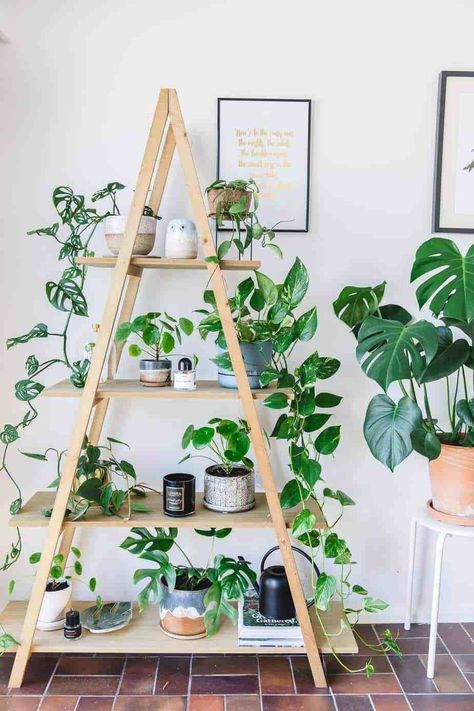 10 Tips for Plant Aesthetic in Small Space Decorating Plants, Wall, White