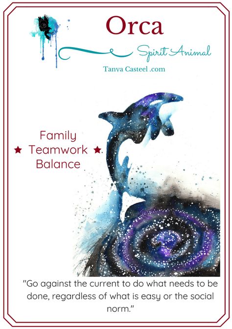 Orca spirit animal symbolism, meaning, dreams and watercolor paintings by Tanya Casteel Orca Symbolism, Animal Symbolism And Meanings, Whale Spirit Animal Meaning, Orca Spirit Animal Meaning, Dream Meanings Symbols Animals, Spirit Animal Crow, Orca Spirit Animal, Animals And Their Spiritual Meanings, Animal Totem Spirit Guides