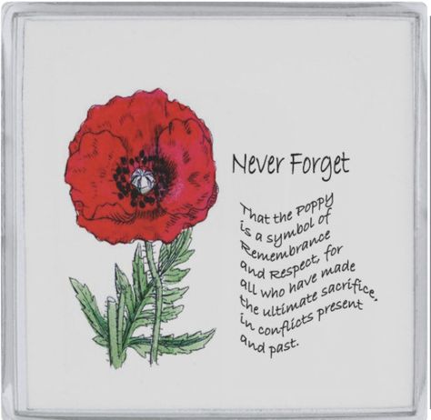 Poppies Memorial Day, Veterans Day Posters For School, Poppy Memorial Day, Remembrance Day Drawings, November 11 Remembrance Day, Anzac Craft, Poppy Wreaths, Memorial Day Poppy, Vfw Auxiliary