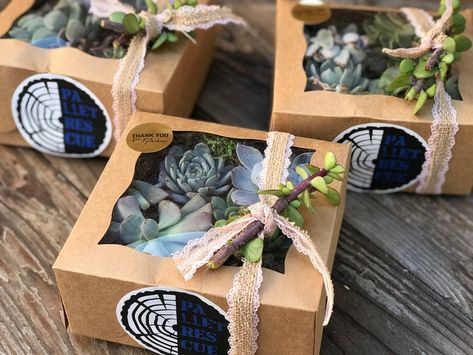 Sympathy Gift Succulent Gift Box Valentines Day Gift | Etsy Gift Box Valentines Day, Mothers Day Plants, Birthday Party Idea, Graduation Party Gifts, Valentines Day Wedding, Succulent Gift, Cactus Gifts, Flower Box Gift, Mothers Day Decor