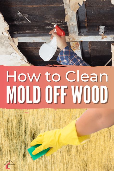 Mold can be a pesky problem to get rid of, but with this guide, you'll be able to clean mold off wood in no time. via @mystayathome How To Clean Mold Off Wood, How To Get Rid Of Mold On Wood, Clean Mold Off Wood, Mold Remover On Wood, Homemade Wood Cleaner, Best Mold Remover, Remove Mold From Shower, Bathroom Mold, Black Mold