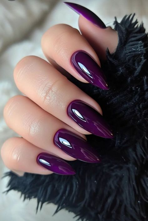 Fall Cateye Nails, Wine Nails, Purple Nail, Fabulous Nails, Fall Nail, Chic Nails, Dope Nails, Nail Arts, Purple Nails