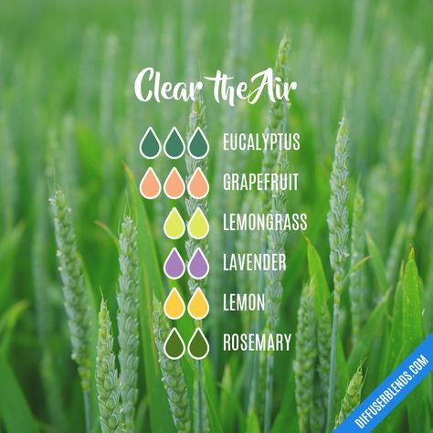 Clear the Air — Essential Oil Diffuser Blend Lemongrass Essential Oil Blends, Wake Up Essential Oil Blend, Essential Oil Combinations, Essential Oil Diffuser Blends Recipes, Magia Das Ervas, Essential Oil Remedy, Young Living Essential Oils Recipes, Diy Kosmetik, Essential Oil Diffuser Recipes