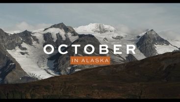 Alaskan Cruise October, Alaska In October, Things To Do In Anchorage Alaska, Things To Do In Juneau Alaska, What To Do In Girdwood Alaska, What To Do In Anchorage Alaska, Cruise Activities, Alaska Railroad, Fairbanks Alaska