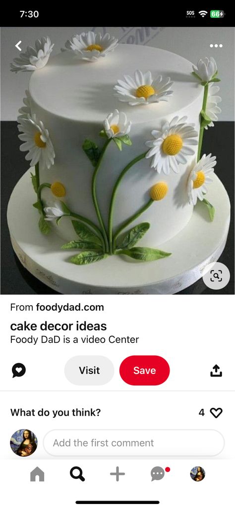 Cake Decorating Flowers, Frosting Cake, Decorating Icing, Decorating Frosting, Fondant Cake Designs, Mini Torte, Daisy Cakes, Cake Decorating Icing, Elegant Birthday Cakes