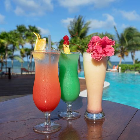 Tropical Drinks Aesthetic, Colorful Alcoholic Drinks, Tropical Restaurant, Classy Drinks, Caribbean Aesthetic, Belize Food, Bubble Tea Flavors, Beach Barbie, Magnolia Bouquet