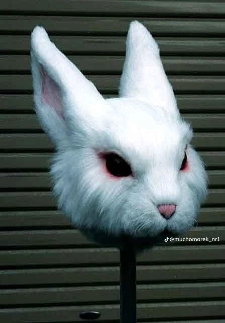 Rabbit Mask, Creepy Masks, Rabbit Costume, Bunny Mask, Karakter Disney, Cool Masks, Cosplay Diy, Animal Masks, Masks Art