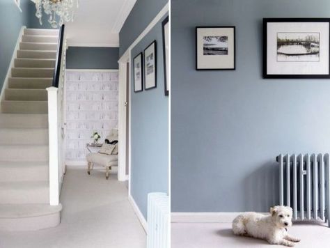 With a library-style wallpaper and a lively blue shade, this hall is now a welcoming space Blue Hallway Ideas, Hallway Colour Schemes, Blue Hallway, Grey Hallway, Hallway Paint, Oval Room Blue, Hallway Colours, Hallway Inspiration, Dining Room Blue