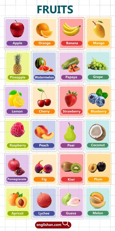 Fruits Names for Kids in English with Pictures Vocabulary For Kids, Fruits Name, Picture Vocabulary, Fruit Names, Fruit List, Medical Jobs, Fruits For Kids, Good Vocabulary Words, Different Fruits