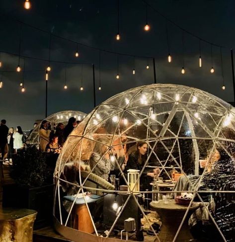 Defying the Elements NEPA-Style with Heated Igloo Dining | DiscoverNEPA Igloo Restaurant, Garden Igloo, Mint Kitchen, Timber Kitchen, House Salad, Library Images, Xmas Deco, Unique Restaurants, Indoor Dining