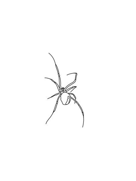 Spider Tattoo Linework, Spider Outline Drawing, Fineline Spider Tattoo, Spider Tattoo Fine Line, Spider Line Tattoo, Fineline Tattoo Stencil, Fine Line Spider Tattoo, Feminine Spider Tattoo, Spider Flash Tattoo