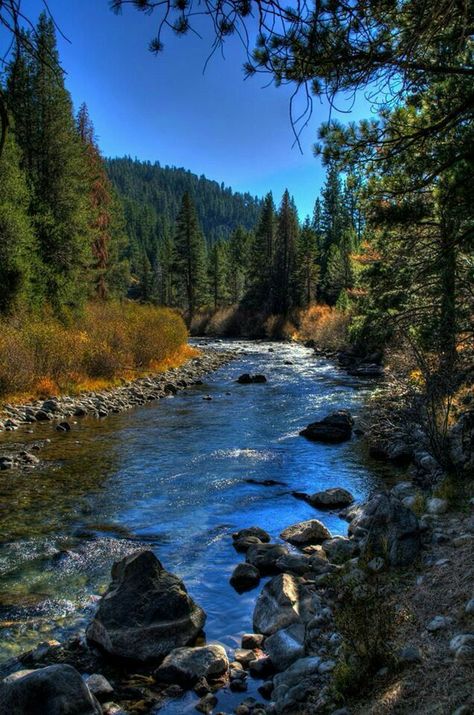 Truckee California, Truckee River, Scenic Pictures, Beautiful Places Nature, Landscape Pictures, Beautiful Nature Scenes, Must Read, California Usa, Nature Scenes