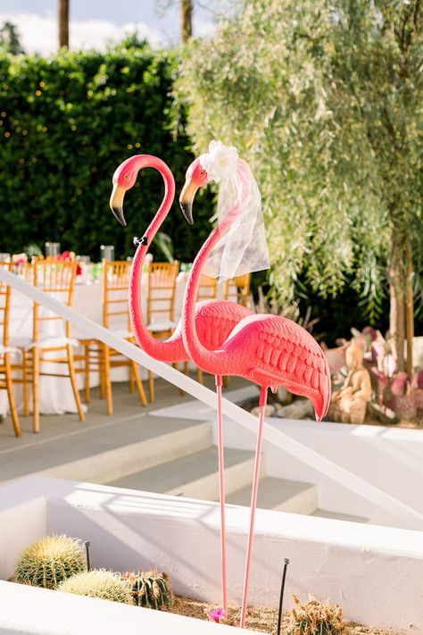 A Palm Springs wedding at a Mid-Century home | Browse Wedding & Party Ideas | 100 Layer Cake Vintage Palm Springs Wedding, Retro Palm Springs Wedding, Palm Springs Party Theme, Flamingo Wedding Decor, Palm Springs Pool Party, Palm Royale, Palm Springs Party, Vintage Palm Springs, Palm Springs Retro