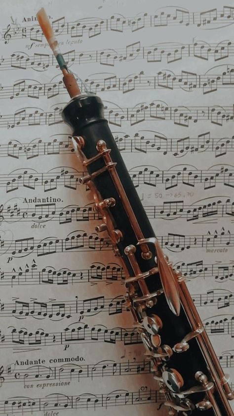 Bassoon Instrument, Instruments Art, Band Nerd, Band Geek, Music Collage, Flute Music, Woodwind Instruments, Bassoon, Music Mood