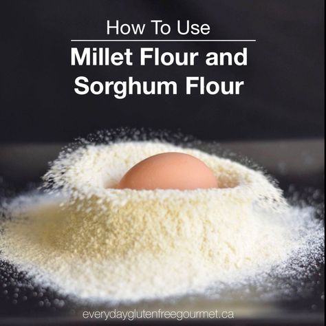 Marinated Grilled Vegetables, Gluten Free Flours, Gluten Free Blueberry Muffins, Banana Flour, Gluten Free Flour Mix, Millet Flour, Flour Substitute, Sorghum Flour, Plant Paradox