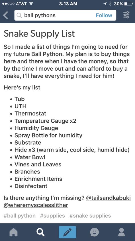 Snake Care Ball Python, Snake Care For Beginners, Ball Python Enclosure Ideas Cute, Corn Snake Enclosure Ideas Diy, Hog Nose Snake Enclosure, Ball Python Setup, Snake Habitat Ideas Ball Python, King Snake Enclosure, Snake Cage Ideas Ball Python