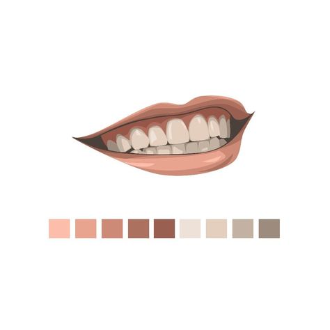 ILLustration art Vexel Art Palette, Vector Color Palette, Vector Art Skin Color Palette, Lips Vector, Lip Color Palette, Lips Color, Vector Portrait Illustration, Digital Portrait Illustration, Photoshop Tutorial Typography