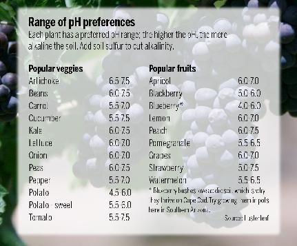 List Of Vegetables, Vegetable Garden Diy, Ph Level, Soil Testing, Soil Ph, Ph Levels, Planting Vegetables, Garden Diy, Fruit Trees