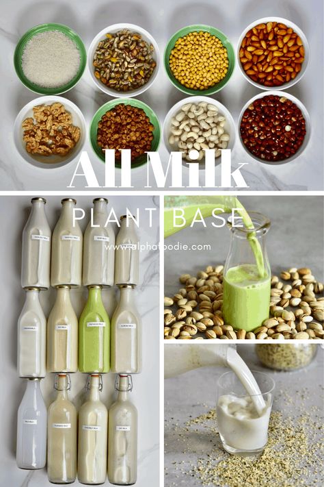 Homemade Plant Milk, List Of Dairy Products, Plant Milk Recipes, Non Dairy Milk, Homemade Milk, Plant Milk, Nut Milk Recipes, Soy Milk Recipes, Fresh Cheese Recipe