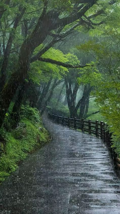 Beautiful Rainy day view rain sound Relaxing view Rainy Day Aesthetic, I Love Rain, Video Nature, Wonders Of Nature, Adventure Travel Explore, Landscape Photography Nature, Nature View, Lo Fi, Beautiful Views Video