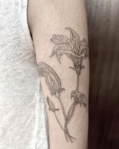 Karen Klink on Instagram: "Zucchini Flowers 🌝🔥🍃 For Raya 🧡" Zucchini Flower Drawing, Zucchini Flower Tattoo, Pumpkin Plant Tattoo, Squash Blossom Tattoo, Pumpkin Flower Tattoo, Zucchini Tattoo, Squash Tattoo, Zucchini Flowers, Pumpkin Vine