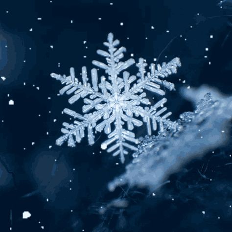 Snow Flake Gif, Ice Gif, Snow Falling Gif, Cold Gif, Winter Gif, Movie Special Effects, Snow Gif, New Images Hd, Yuki Onna