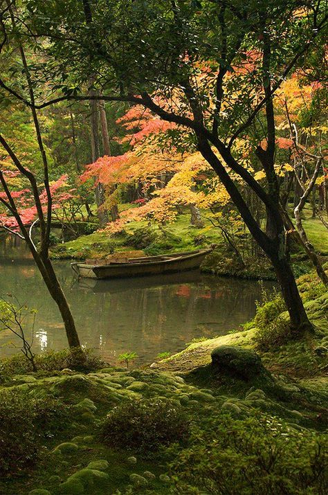 Beautiful pond in the forest posted by Enigma on Facebook Image Zen, A Pond, Peaceful Places, Stay Healthy, Green Grass, Japanese Garden, In The Woods, Nature Pictures, Nature Beauty