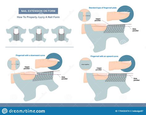 Illustration about Nail Extension on Form. How to Properly Apply a Nail Form. Professional Manicure Tutorial. Vector illustration. Illustration of master, manicure, gelish - 170432474 Nail Forms Tutorial, Nail Tech School, Manicure Tutorials, Unghie Nail Art, Sculptured Nails, Nail Courses, Beauty Hacks Nails, Home Nail Salon, Professional Manicure