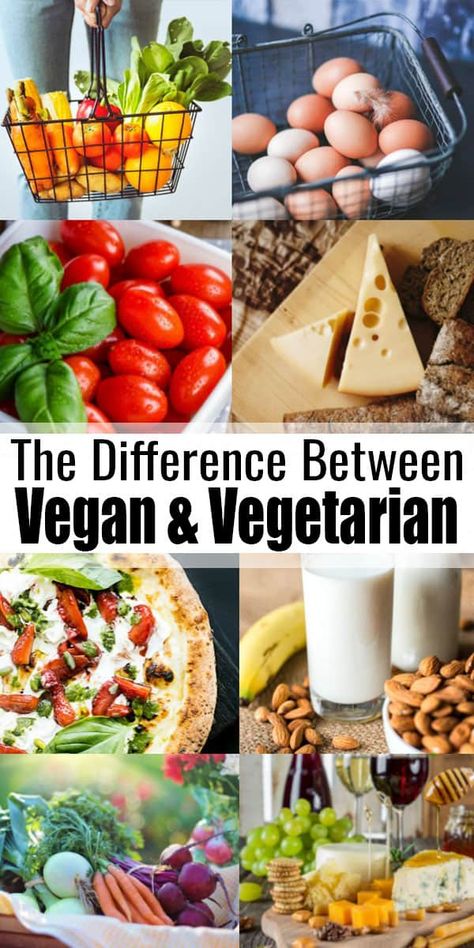 Vegetarian Vs Vegan Facts, Difference Between Vegan And Vegetarian, Vegan Vs Vegetarian, Vegetarian Facts, Thrive Diet, Plant Diet, Vegetarian Diets, Vegetarian Day, Vegan Recipes Plant Based