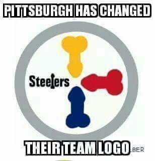 Steelers Meme, Pittsburgh Steelers Funny, Nfl Logos, Buckeye Baby, Nfl Funny, Nfl Saints, 32 Nfl Teams, Dallas Cowboys Football Team, Miami Dolphins Logo