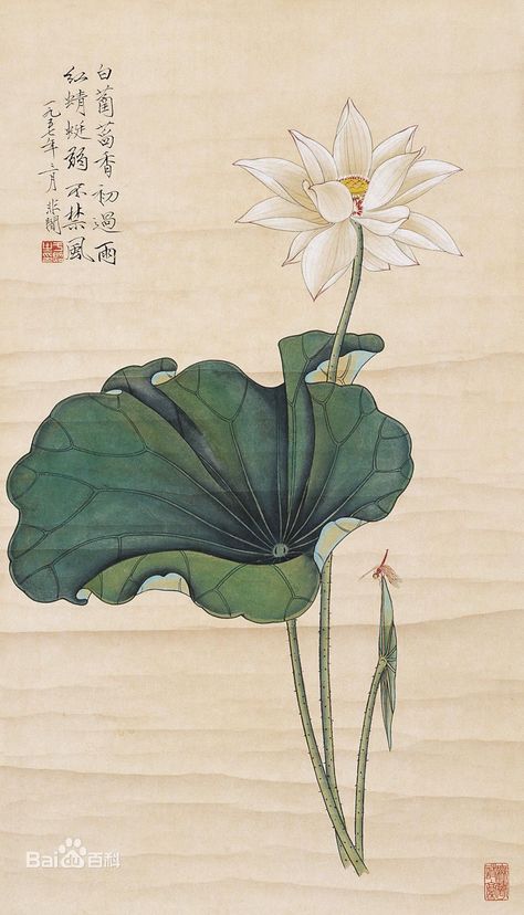 Image Zen, Lotus Painting, Lotus Art, Illustration Botanique, Art Japonais, Japanese Painting, Japan Art, Botanical Illustration, Chinese Art