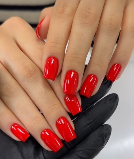 Squared Red Nails, Bright Red Square Nails, Very Short Red Nails, Red Apple Nails, Red Squoval Acrylic Nails, Old Money Red Nails, Red Colour Nails, Red Nails Short Square, Red Shirt Nails