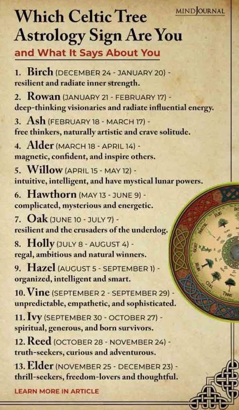 Norse Zodiac Astrology, Irish Zodiac Signs, Celtic Birth Signs, Astrology And Witchcraft, Trees And Their Meanings, Druidism Spirituality, Celtic Spells, Green Eyes Facts, Astrology Sayings