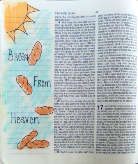 Exodus 16:15 Bible Recap, Exodus Bible, Bible Drawings, Christ The Good Shepherd, Bible Drawing, Bible Journaling Ideas Drawings, Journal Notes, Bible Doodling, Bible Journal Notes