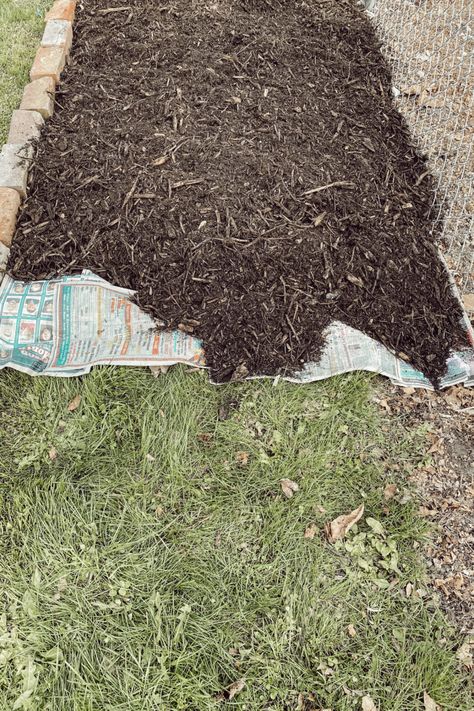 Back To Eden Gardening Raised Beds, Back To Eden Gardening, Back To Eden Garden, Easy Garden Beds, Back To Eden, Eden Garden, Homesteading Ideas, Greenhouse Garden, Southern Garden