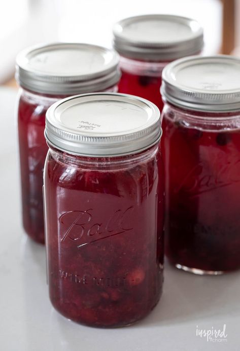 Bring a homemade element to your holiday celebrations with this Cranberry Cordial! Crafted with fresh cranberries, zesty orange, and a hint of warm cinnamon, it captures the essence of the season in every sip. Whether you serve it as a festive drink, mix it into your favorite cocktails, or gift it in a beautifully decorated jar, this cordial is sure to delight. Simple to make and full of flavor, it’s a holiday favorite in the making. Cordial Recipes Alcoholic, Cranberry Cordial Recipe, Cordial Drinks, Strawberry Cordial, Cordial Recipes, Cordial Recipe, Cranberry Drinks, Beverage Recipes, Lemon Lime Soda