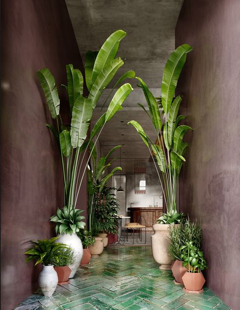 Tropical Coffee Shop, Zen Courtyard, Courtyard Garden Ideas, Hotel Plants, Tropical Interior Design, Small Courtyard, Courtyard Gardens, Small Courtyard Gardens, Coffee Shop Interior Design