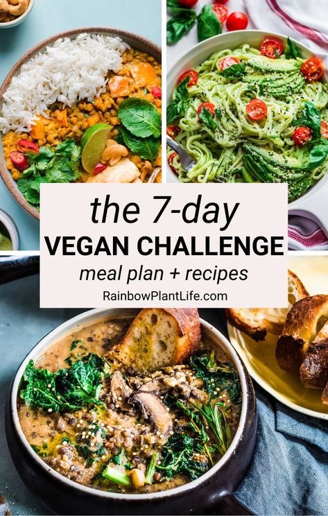 Meal Plan Healthy, Rainbow Plant Life, Vegan Challenge, Vegan Inspiration, Vegan Main Dishes, Vegan Meal Plans, Healthy Lifestyle Tips, Vegan Lunch, Tempeh