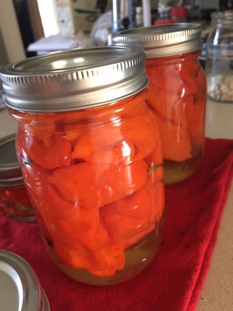 Ghost Pepper Pickles, Ghost Pepper Jelly Recipe, Winter Canning, Pepper Jelly Recipes, Homemade Hot Sauce, Pickled Okra, Ghost Pepper, Ghost Peppers, Pepper Jelly