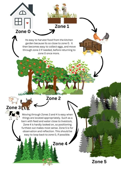 Permaculture Garden Plan, Homestead Structures, Food Forest Layout Permaculture Design, Urban Food Garden, Permaculture Food Forest Design, Small Yard Permaculture, Permaculture For Beginners, Permaculture Architecture, Perma Culture