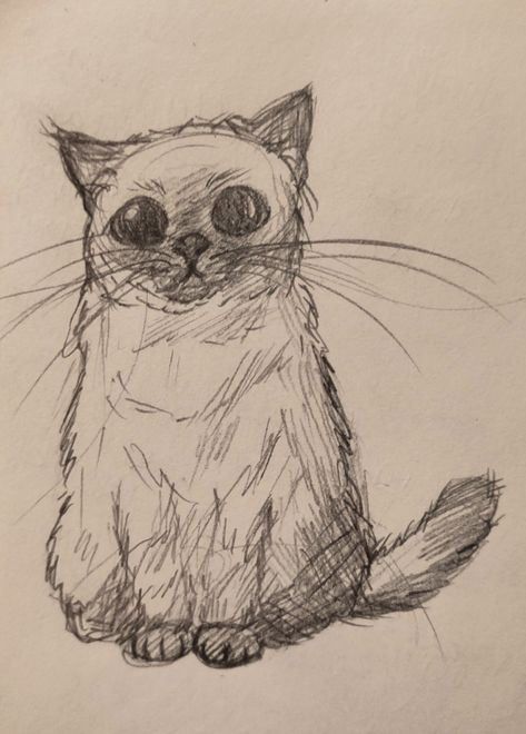 Scottish Straight, British Shorthair cat drawing Silly Cat Sketch, Animal Drawings Sketches, Cat Sketch, Artist Alley, Easy Doodles Drawings, Mini Drawings, Animal Sketches, Book Art Drawings, Saitama