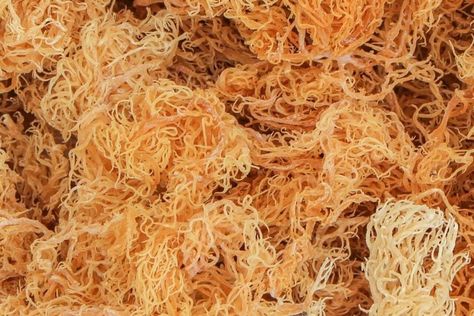 These Are The Health Benefits Of Sea Moss — And A List Of Black Owned Brands - Essence Sea Moss Powder, 2024 Meals, Star Seed, Alkaline Vegan, Sea Plants, Sea Vegetables, Notes App, Irish Moss, Shea Butter Soap